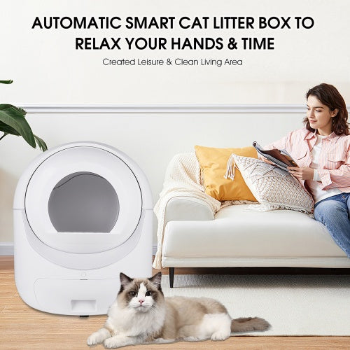 Visual comparison of tofu, bentonite, and other compatible litter types for the Smart Litter Box.