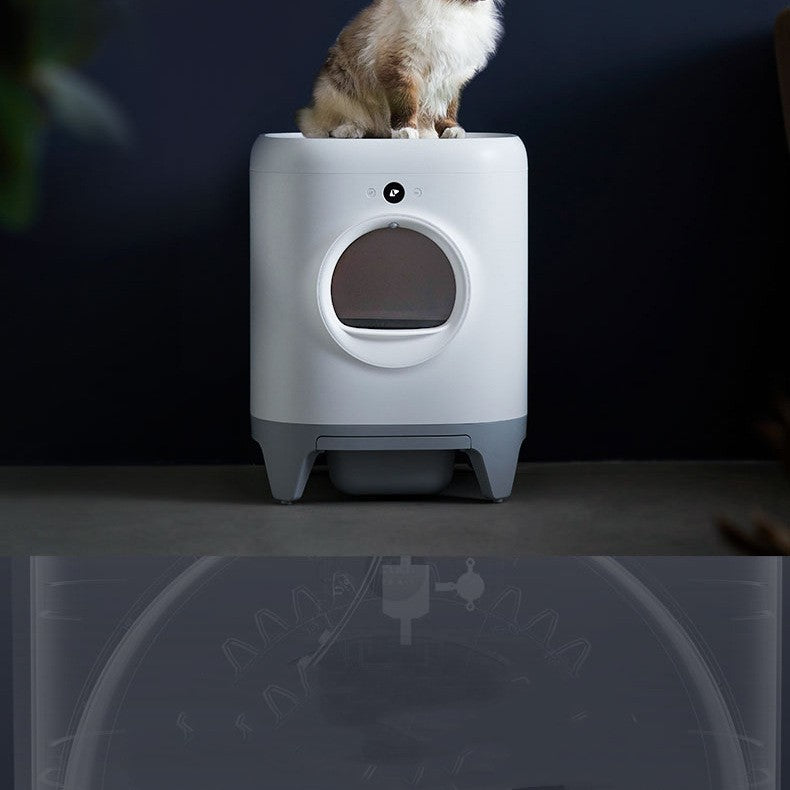 Ergonomic entrance design of the Xiaopei Cat Litter Box with 310mm height and 220mm diameter.
