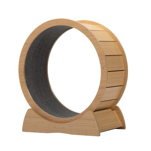 Minimalist home interior with wooden cat running wheel
