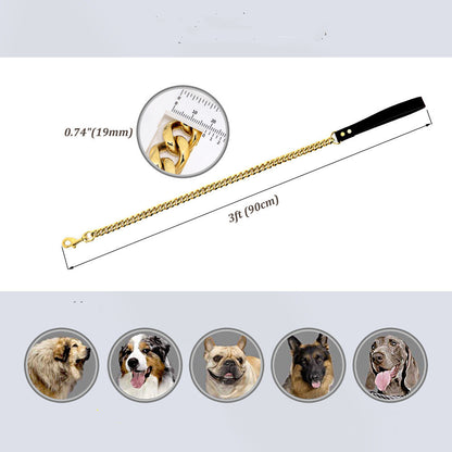 Durable Leather Grip on Golden Stainless Steel Dog Leash