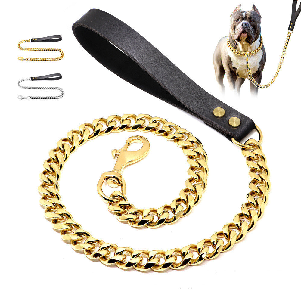 Training a Dog with a 19MM Golden Stainless Steel Leash