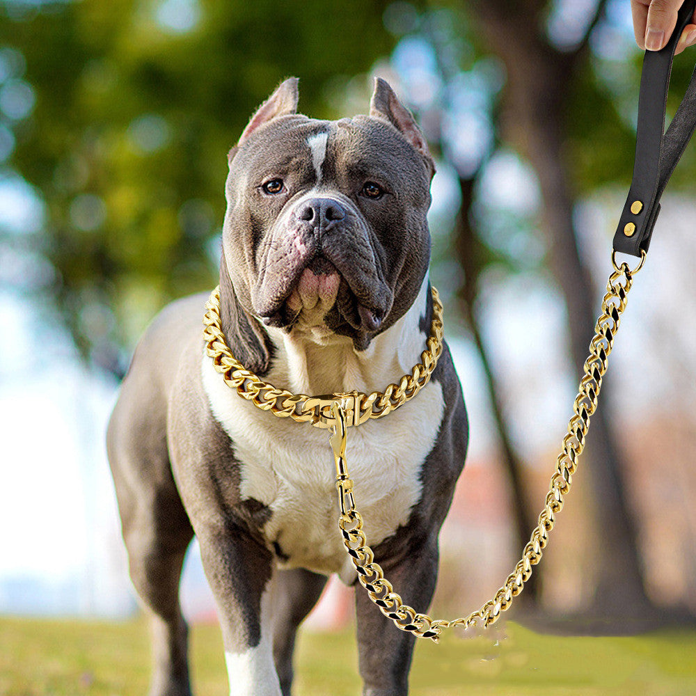 High-Quality Golden Titanium Steel Chain for Small and Medium Dogs