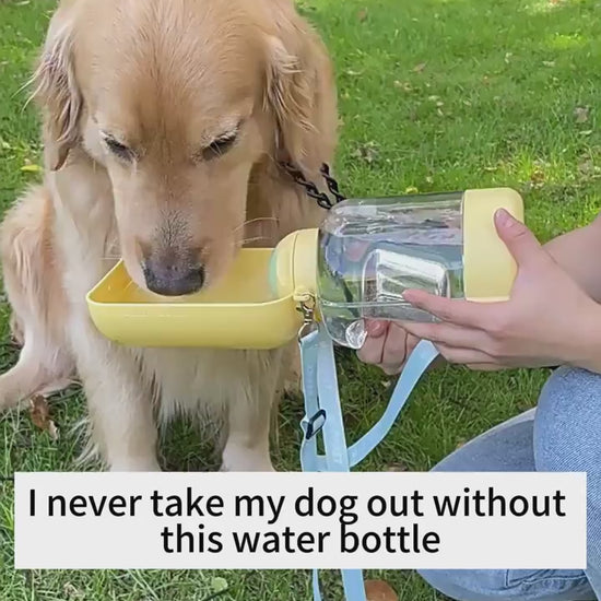 Pet water bottle with food storage, ideal for walks, trips, and picnics.